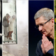 Imagen para el artículo titulado iOS 8, satélites perdidos, miradores y LG G3, lo mejor de la semana
